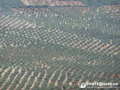 senderos el hierro señalizacion senderismo marcas senderismo